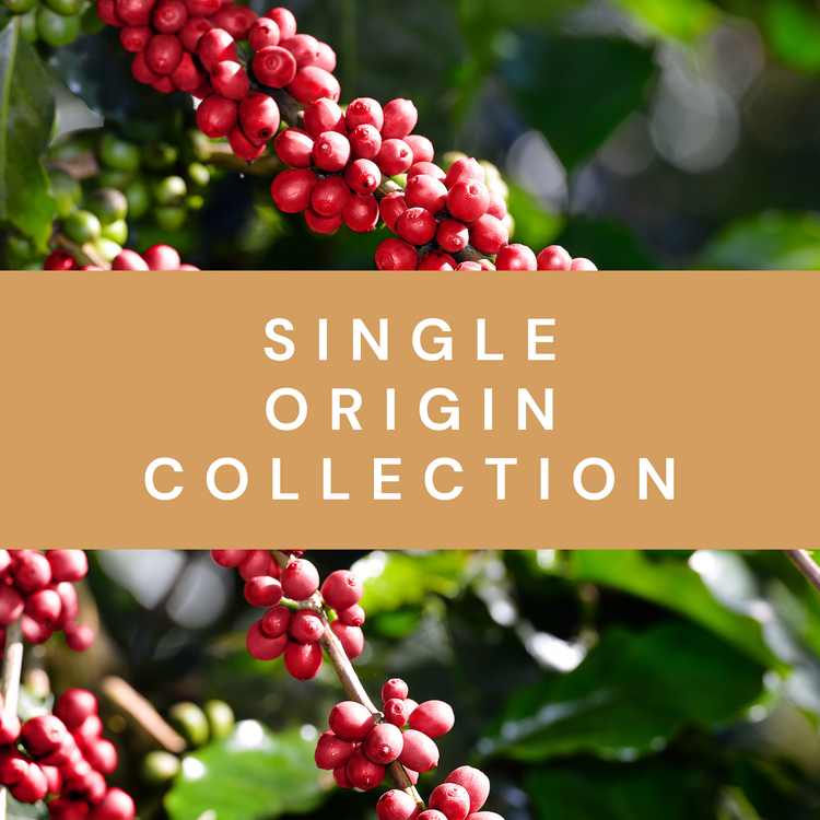 Single Origin Coffee Collection Image